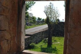 DSC1 (146).jpg